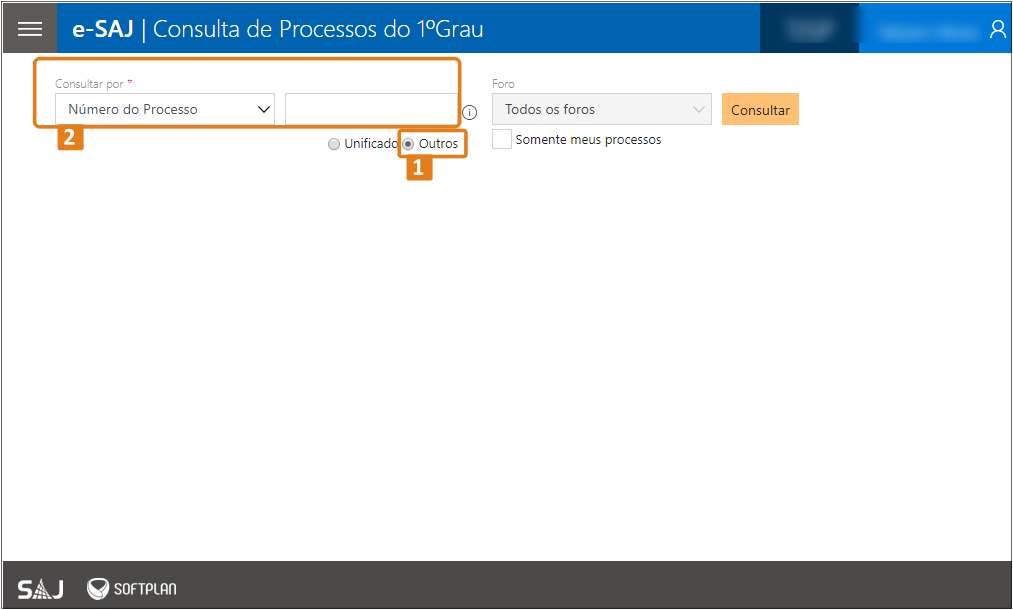 02_tela_consulta_de_processo.png