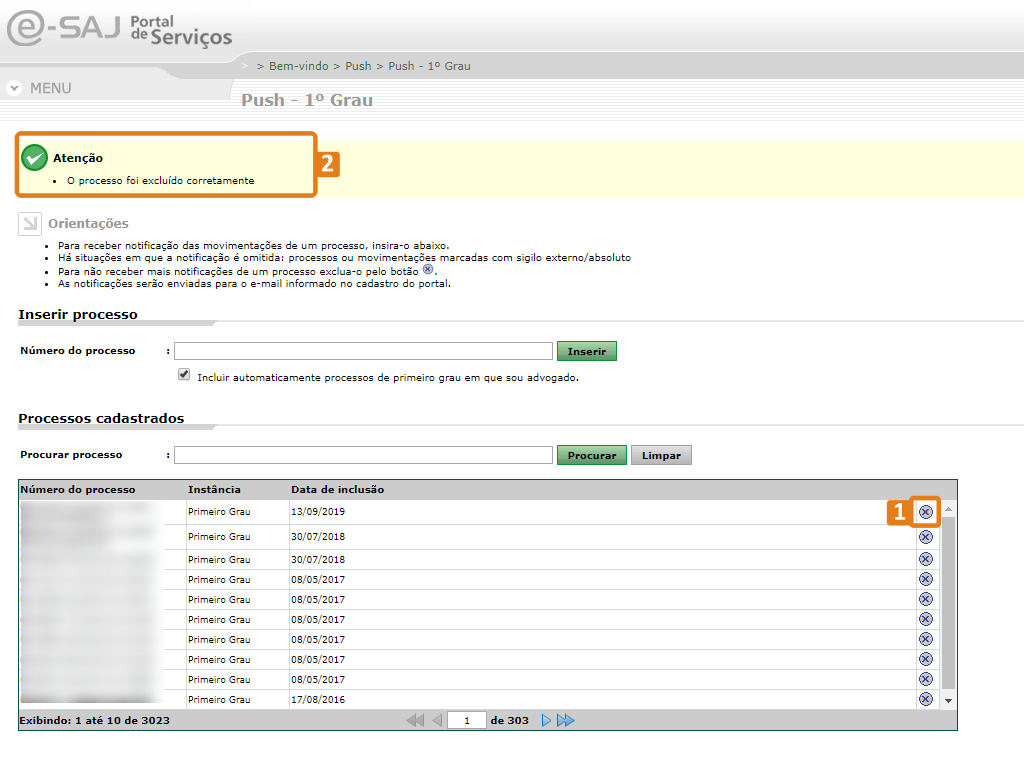 02_exclus_o_do_processo.png