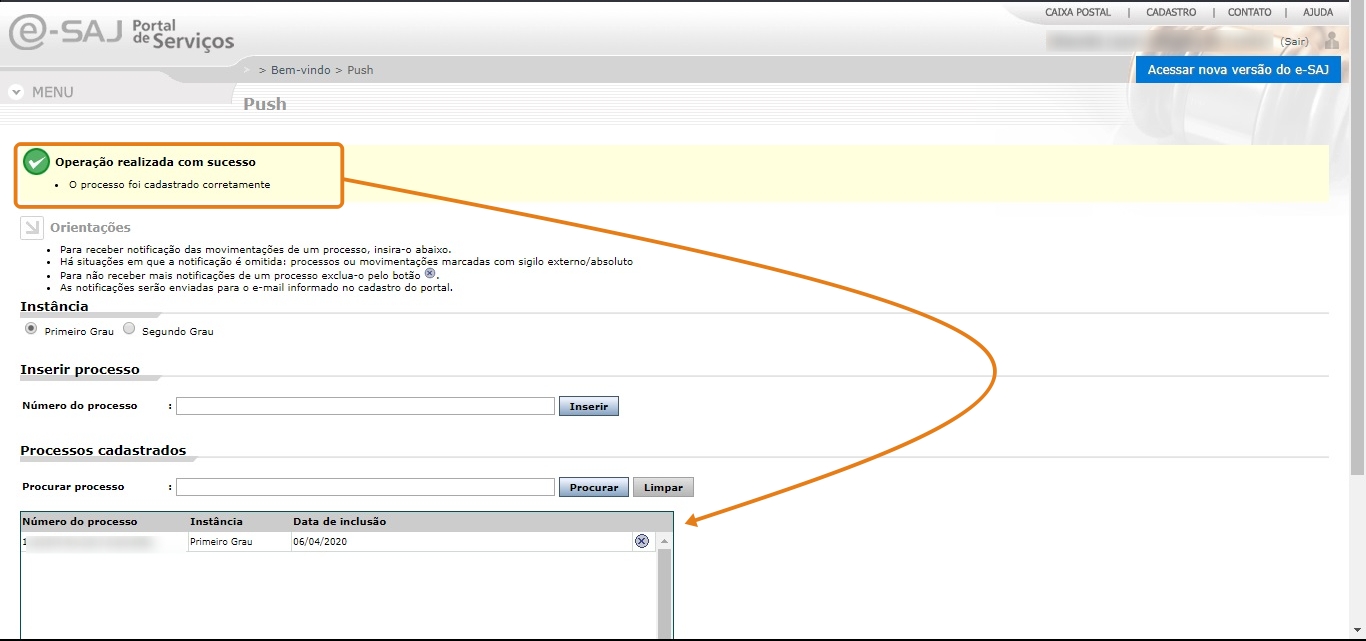 04_processo_cadastrado_corretamente.jpg
