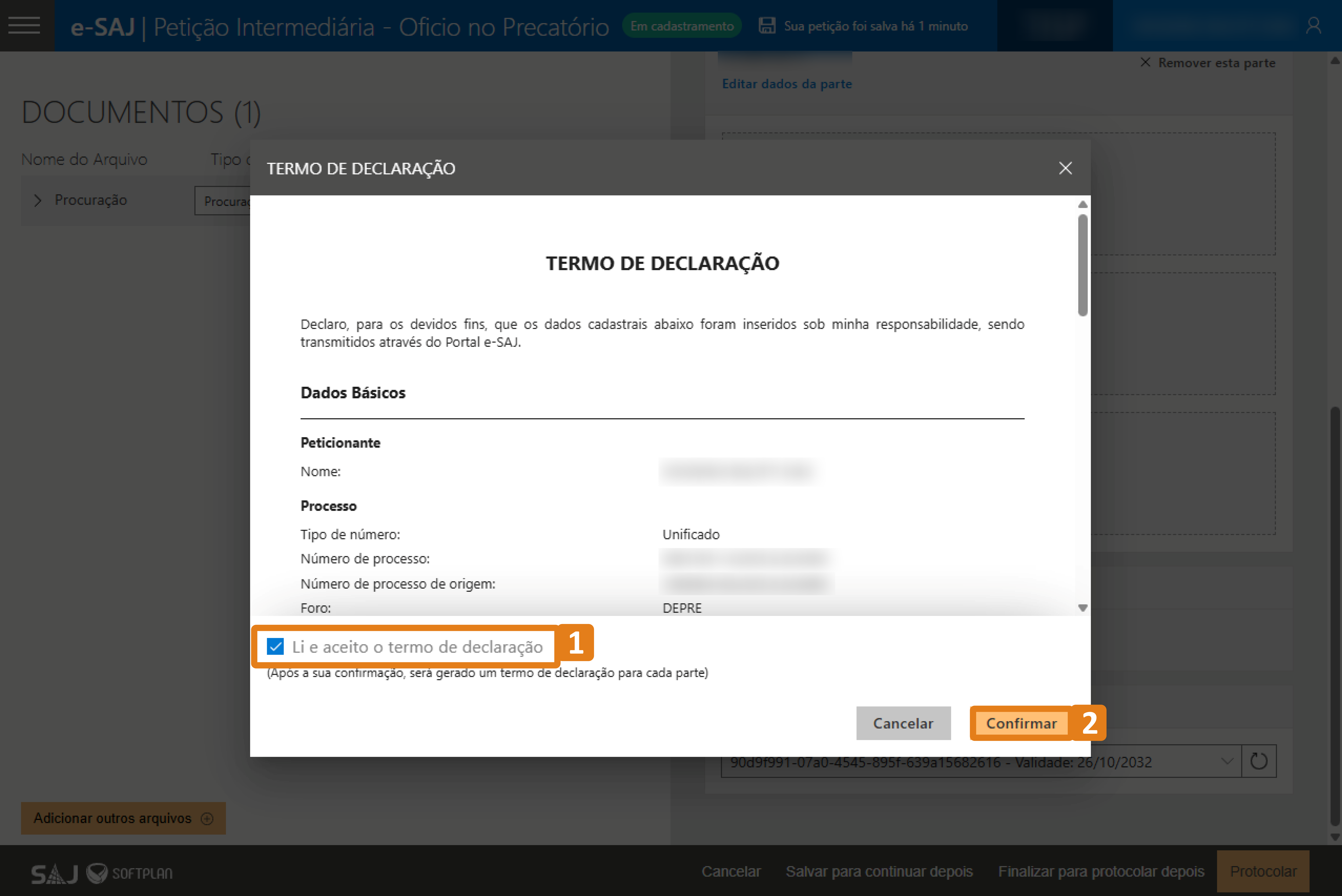 passo 7-previa termo declaracao-ler e aceitar o termo-confirmar.png